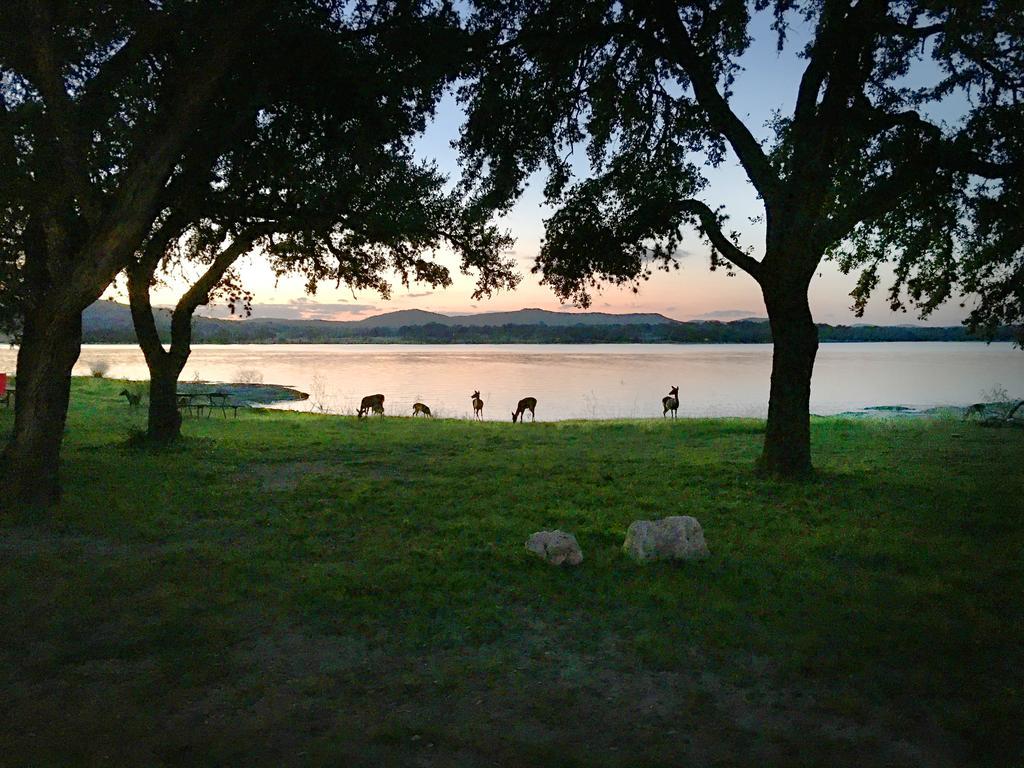 Medina Lake Camping Resort Cabin 3 Lakehills Bagian luar foto